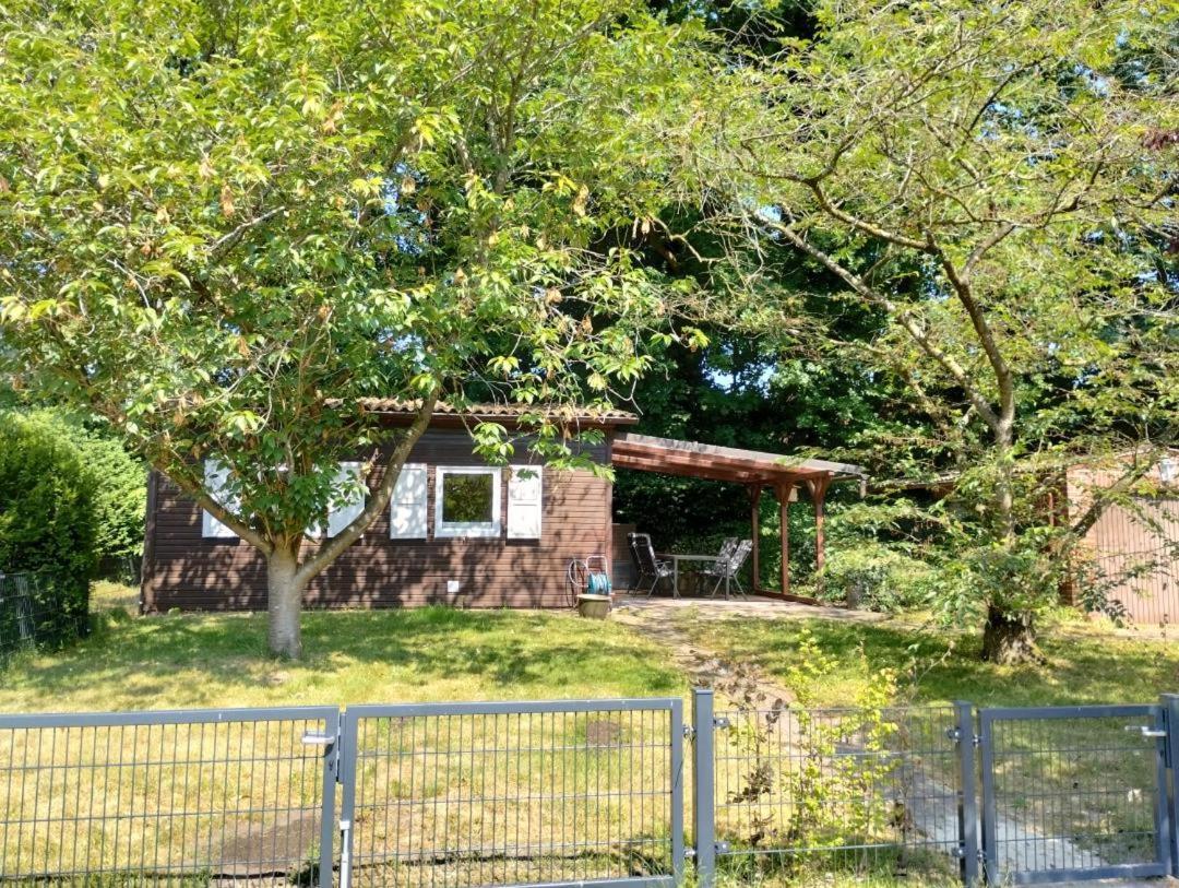Neu! Sommerhaus Im Cuxland Hechthausen Eksteriør billede